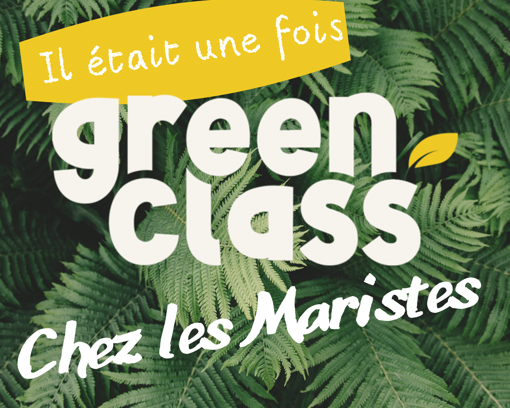 green class chez les maristes