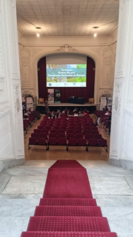 école privée - collège privé - lycée privé - segpa, HPI, EIP - Toulon, Ollioules, La Seyne