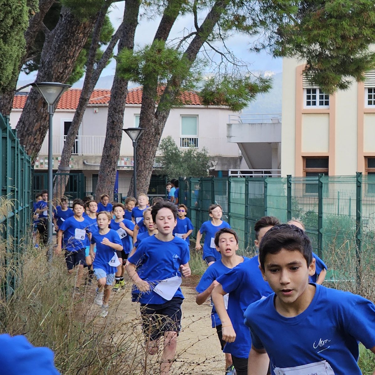 Cross du Collège 2024