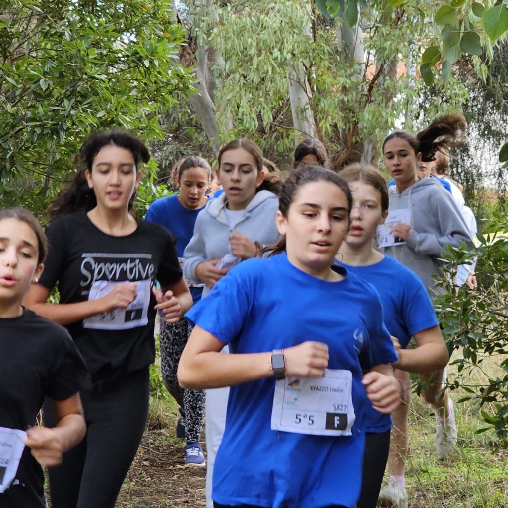 Cross du Collège 2024