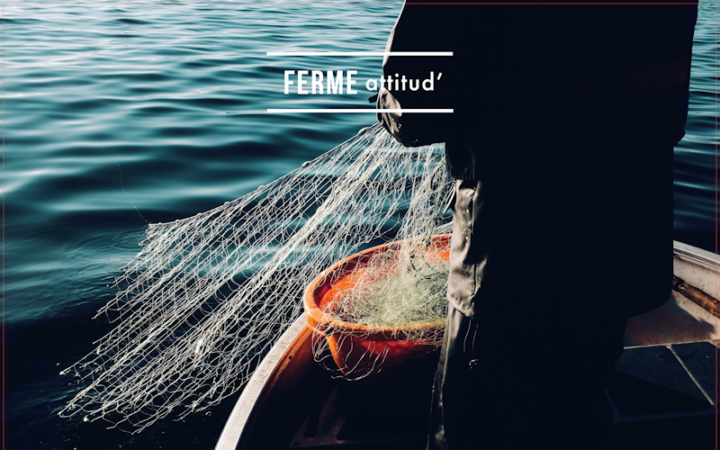 Un savoir-faire culinaire tendance et créatif Un savoir-faire culinaire tendance et créatif