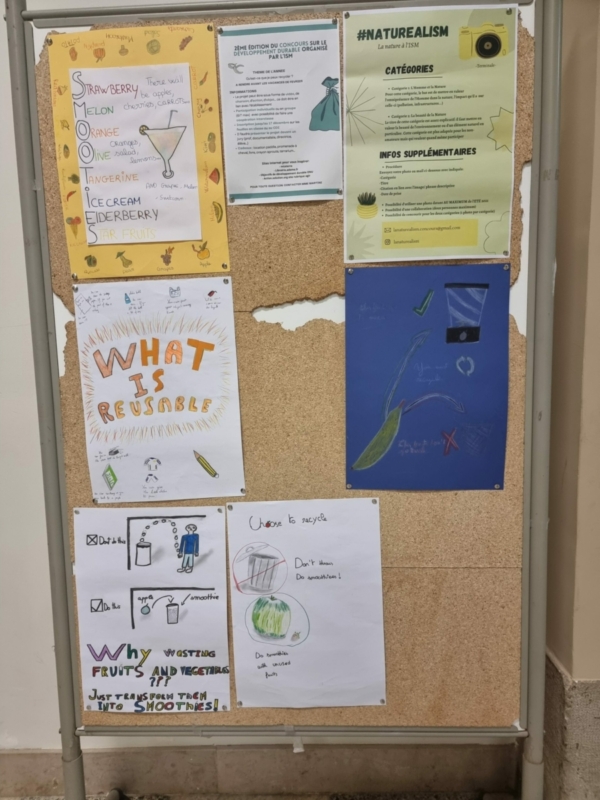 action green class (5)