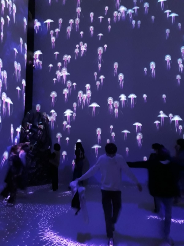 sortie musée océanographique de Monaco décembre 2021 