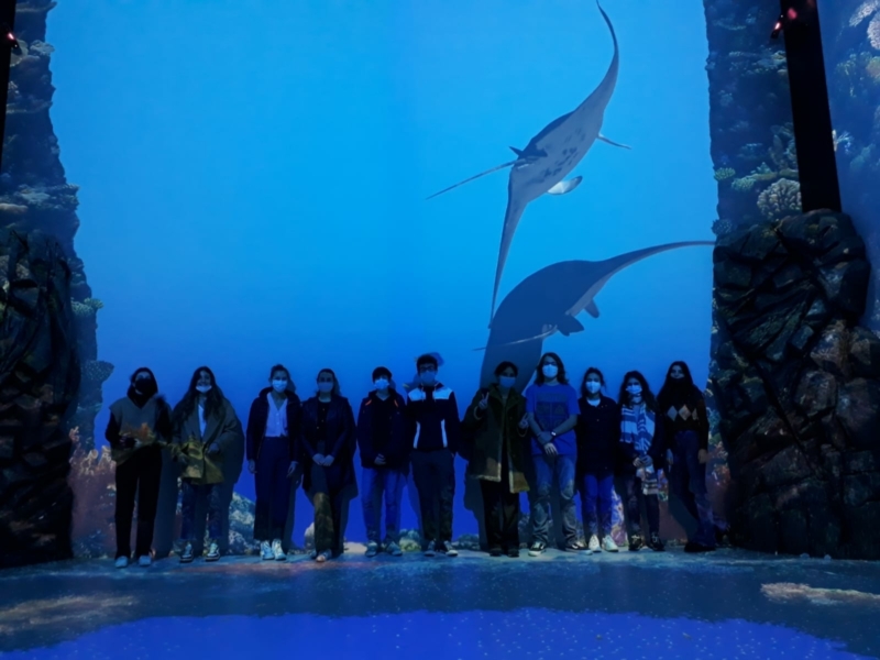 sortie musée océanographique de Monaco décembre 2021 (11)