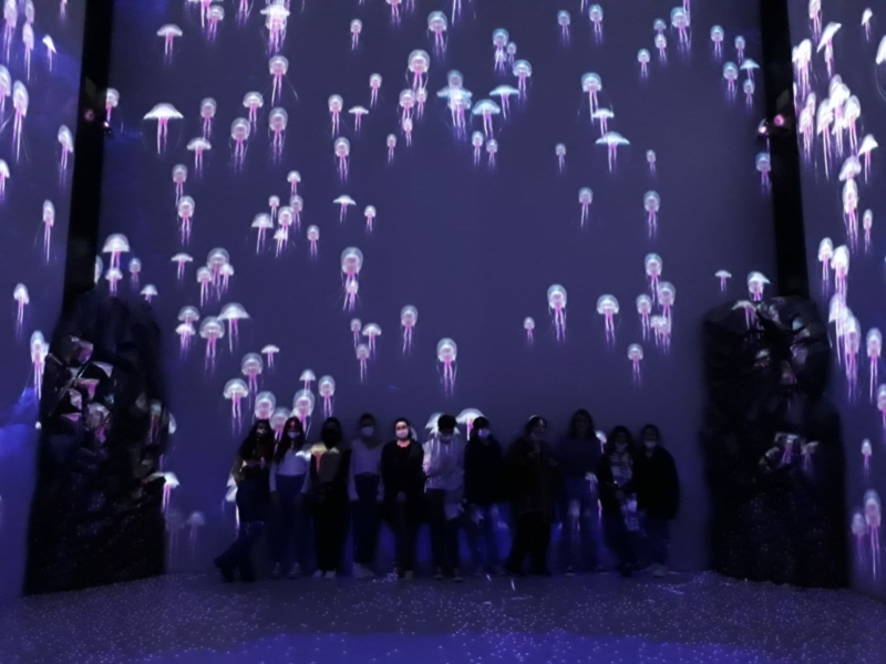 sortie musée océanographique de Monaco décembre 2021 (2)