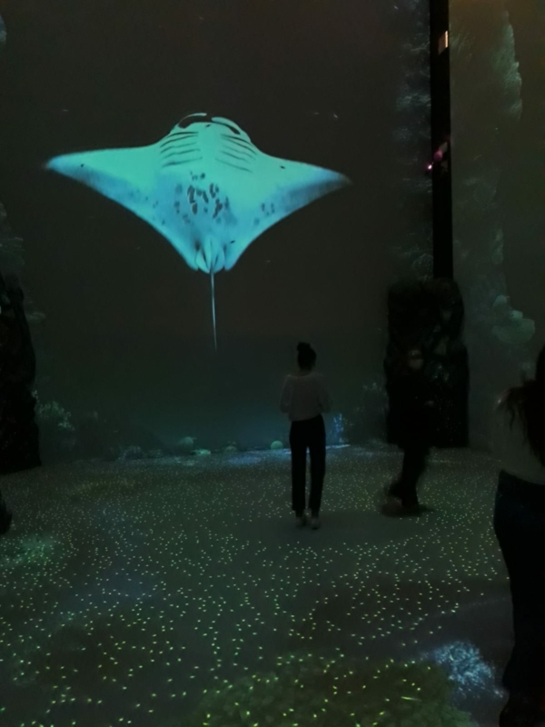 sortie musée océanographique de Monaco décembre 2021 (3)
