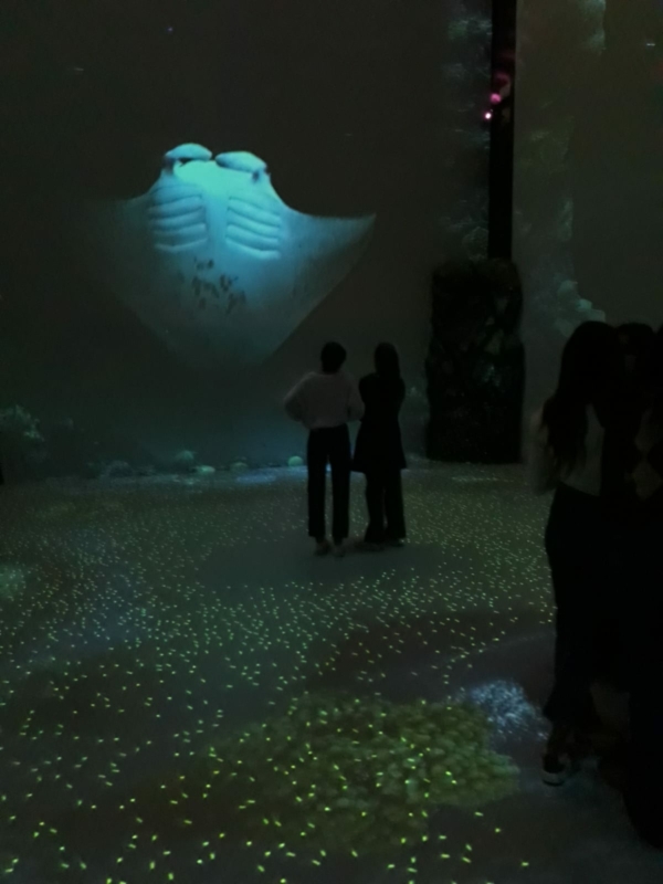 sortie musée océanographique de Monaco décembre 2021 (4)
