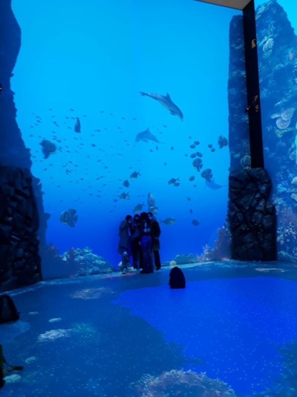 sortie musée océanographique de Monaco décembre 2021 (5)
