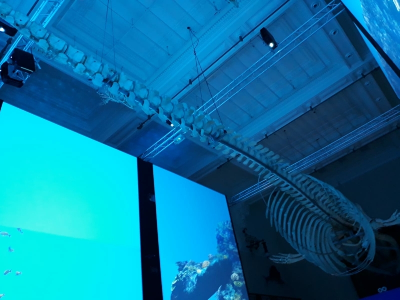 sortie musée océanographique de Monaco décembre 2021 (8)